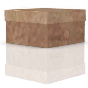 Caja de cartón pequeña