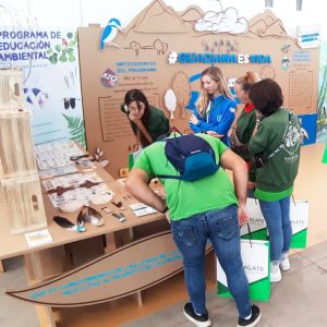 Stand de cartón reciclado