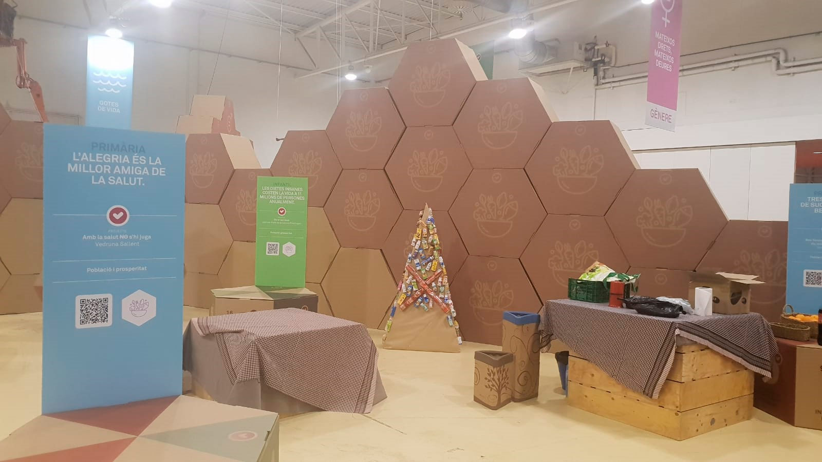 Stands hexagonales de cartón para colegios
